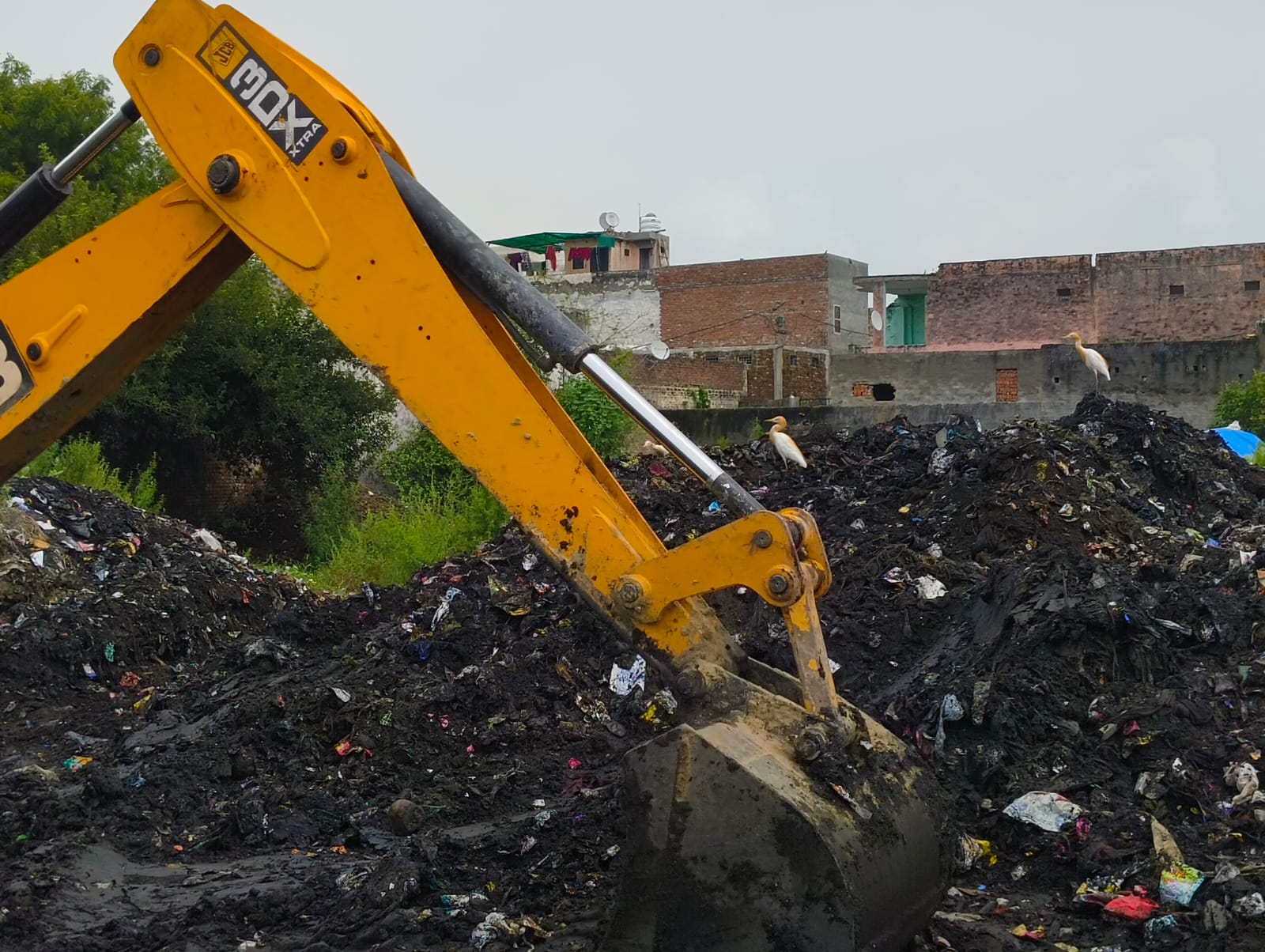 Plastic Cleaning Drive at Bambawar - Image 4